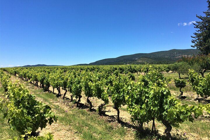 Full-Day South Luberon Wine Tour from Marseille with Three Wineries and Lourmarin Lunch (4/5)