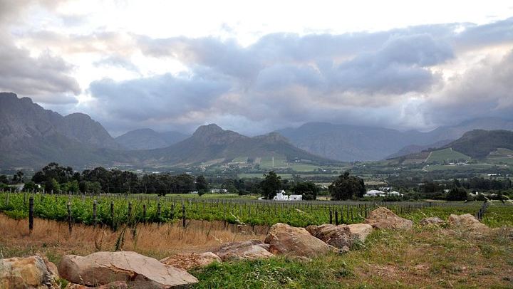 Full-Day Small-Group Stellenbosch Wine Tour with Cape Wine Academy-Certified Guides (1/2)