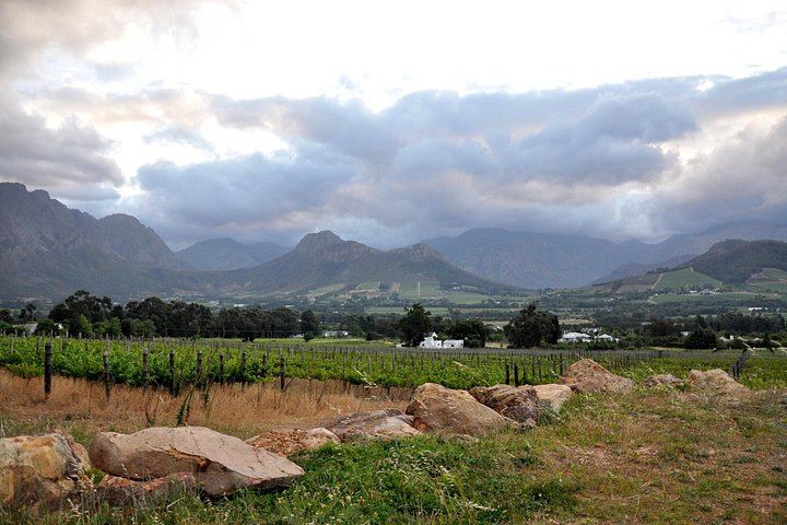 Full-Day Small-Group Stellenbosch Wine Tour with Cape Wine Academy-Certified Guides (1/2)