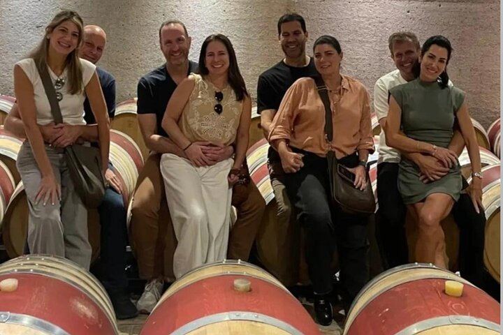 Full-Day Maipú and Luján de Cuyo Wineries with Private Vehicle and Driver-Guide (1/12)
