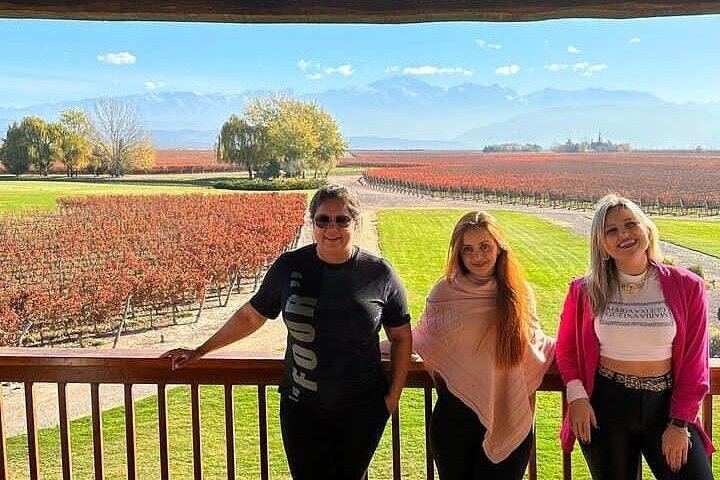 Full-Day Maipú and Luján de Cuyo Wineries with Private Vehicle and Driver-Guide (3/12)
