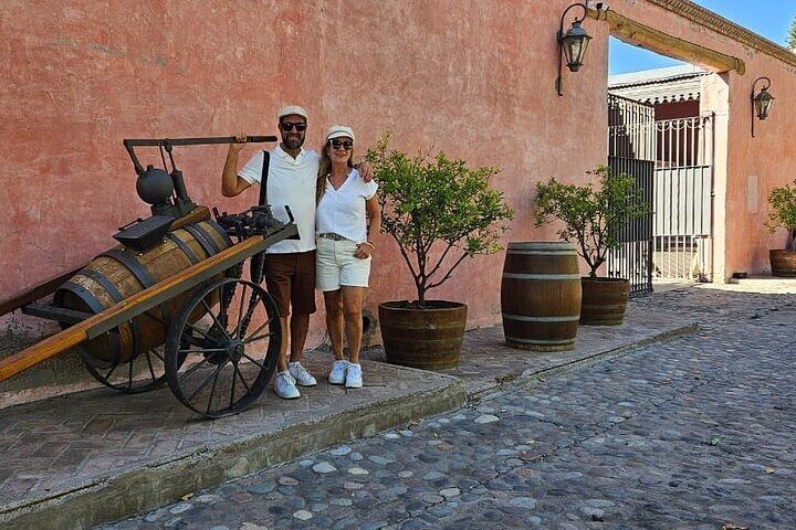 Full-Day Maipú and Luján de Cuyo Wineries with Private Vehicle and Driver-Guide (7/12)