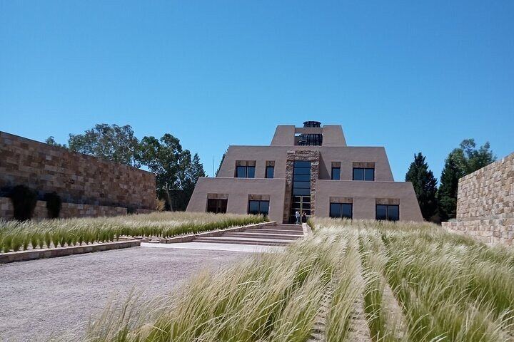 Full-Day Maipú and Luján de Cuyo Wineries with Private Vehicle and Driver-Guide (10/12)