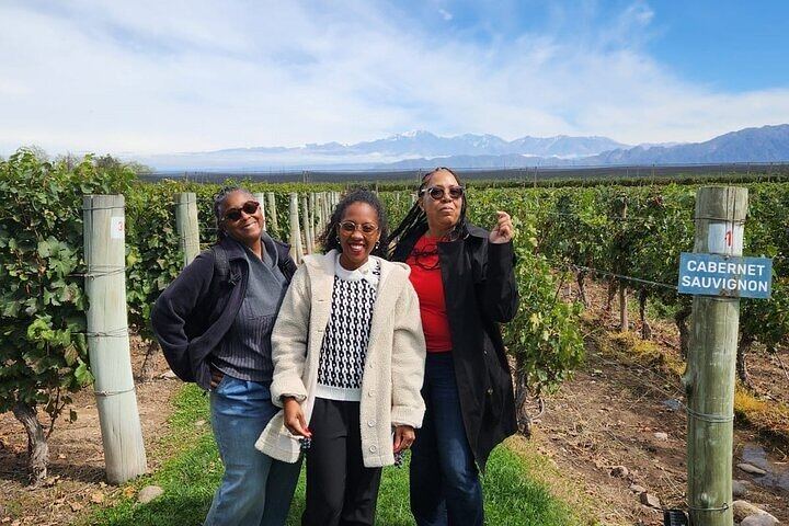 Full-Day Maipú and Luján de Cuyo Wineries with Private Vehicle and Driver-Guide (2/12)