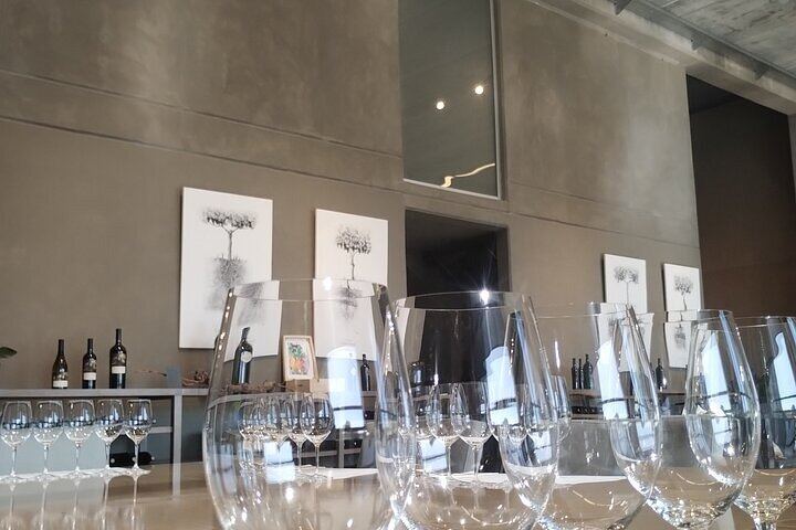 Full-Day Maipú and Luján de Cuyo Wineries with Private Vehicle and Driver-Guide (8/12)