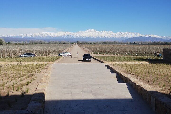 Full-Day Maipú and Luján de Cuyo Wineries with Private Vehicle and Driver-Guide (11/12)
