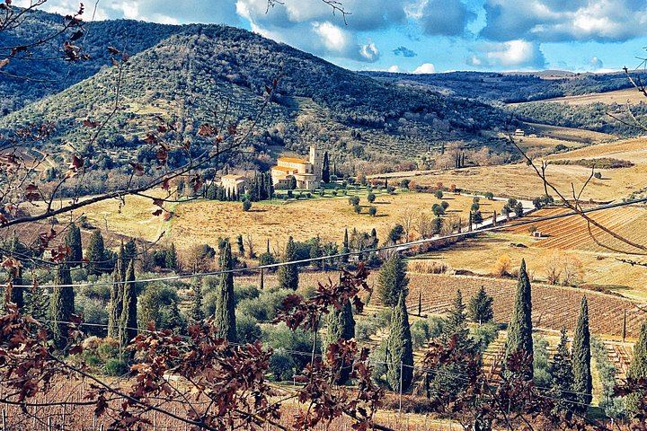 Private Guided Brunello Tasting in Montalcino: Wine Estates, Cellars and Sant'Antimo Abbey (5/7)