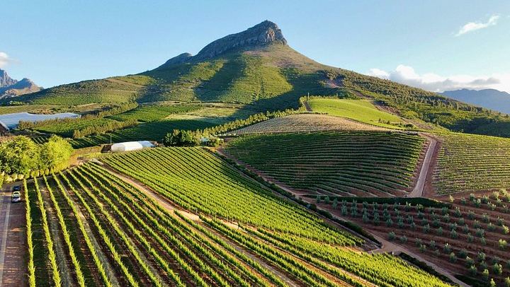 Franschhoek Wine Tram Day Tour: Zevenwacht, Weltevreden, Drakenstein Prison (2/12)