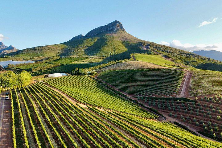 Franschhoek Wine Tram Day Tour: Zevenwacht, Weltevreden, Drakenstein Prison (2/12)