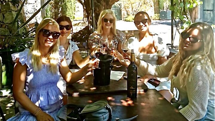 Half-Day Bellet Wine Tour from Nice: Two Wineries, Eight Wines, Small Minivan Group (1/8)