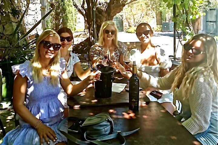 Half-Day Bellet Wine Tour from Nice: Two Wineries, Eight Wines, Small Minivan Group (1/8)