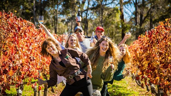 Margaret River Wineries, Brewery and Chocolate Day Tour with Lunch, 6 Hours (4/5)