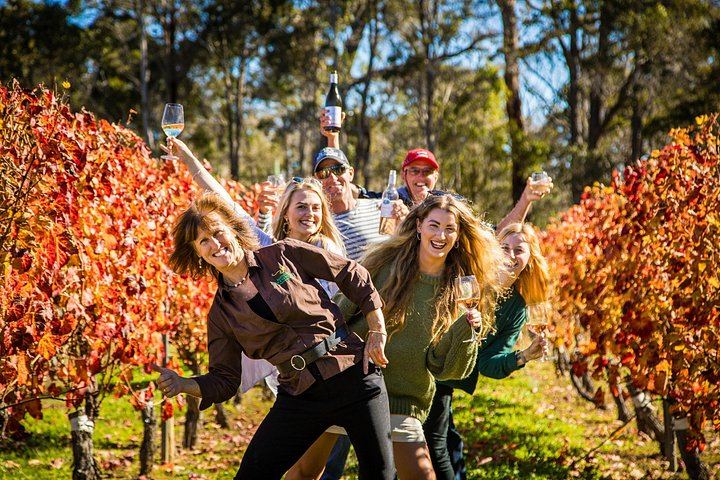 Margaret River Wineries, Brewery and Chocolate Day Tour with Lunch, 6 Hours (4/5)