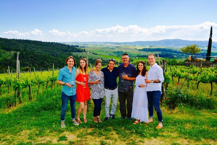 Private Chianti Wine Region Day by Minivan with Winery Lunch and Medieval Hamlets (1/5)
