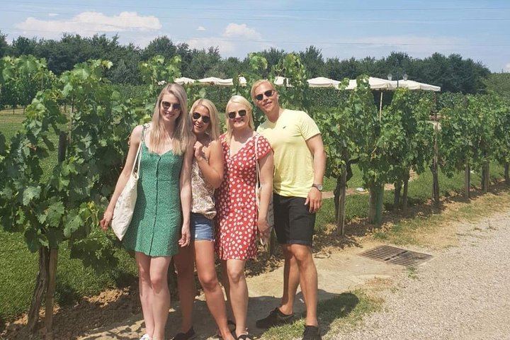 Montalcino Brunello Day Trip: Two Boutique Cellars and Pairing Lunch, Max 8 Guests (9/12)