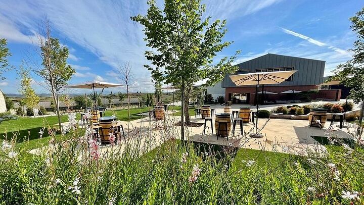 Badarán Family Winery Visit with Four-Wine Tasting and Riojan Appetizer (1/8)