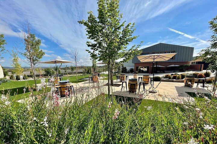 Badarán Family Winery Visit with Four-Wine Tasting and Riojan Appetizer (1/8)