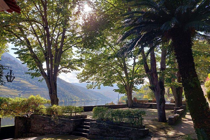 Pinhão Winery Visit at Quinta da Foz: Cellar, Vinification and Five-Wine Tasting (5/6)