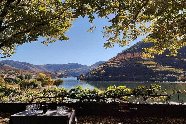 Pinhão Winery Visit at Quinta da Foz: Cellar, Vinification and Five-Wine Tasting (6/6)