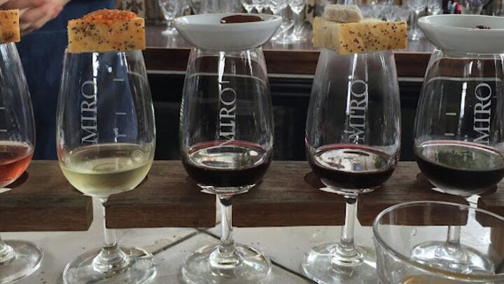 Gastronomic Waiheke Day: Casita Miro Pairing, Olive Oil, Beer or Spirits, Lunch (4/5)