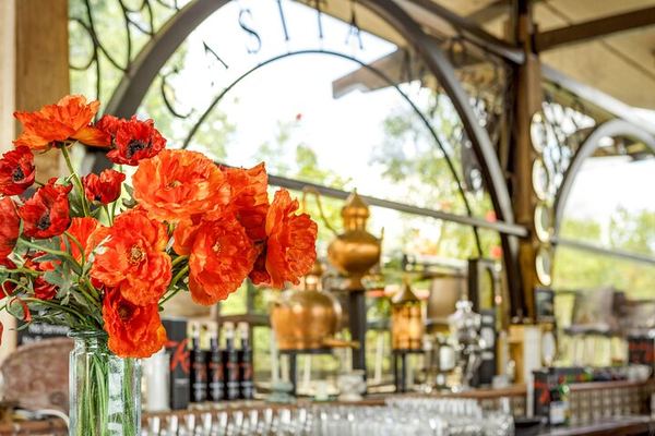 Gastronomic Waiheke Day: Casita Miro Pairing, Olive Oil, Beer or Spirits, Lunch