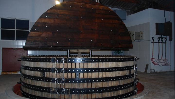 Private Champagne Tour from Paris, WSET 3 Guide: Sixth-Generation Grower, Moët & Chandon (3/11)