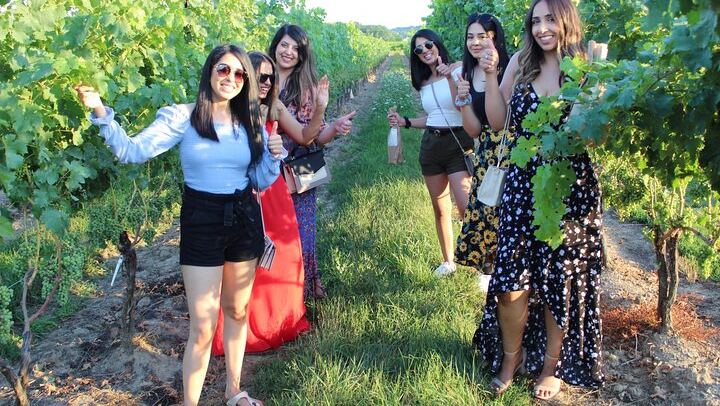 Niagara Wine and Charcuterie Tour from Falls Meeting Points: 3 Wineries, 12+ Tastings (3/12)