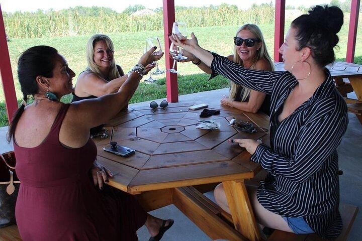 Niagara Wine and Charcuterie Tour from Falls Meeting Points: 3 Wineries, 12+ Tastings (8/12)