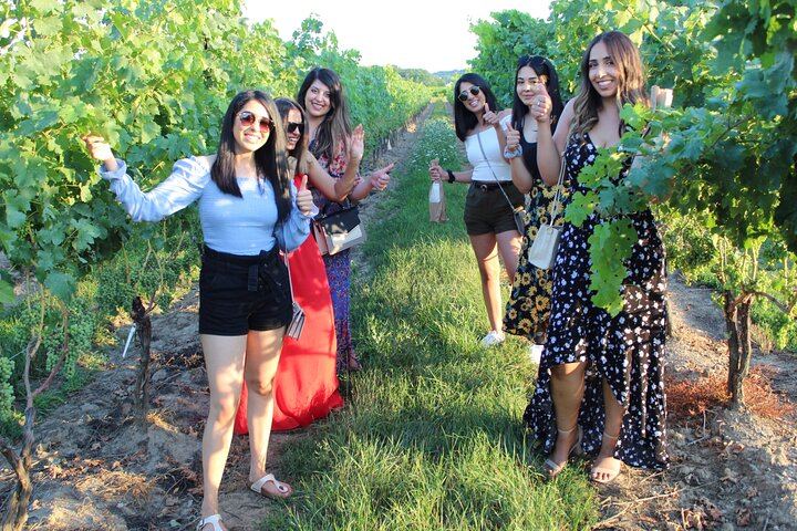 Niagara Wine and Charcuterie Tour from Falls Meeting Points: 3 Wineries, 12+ Tastings (3/12)