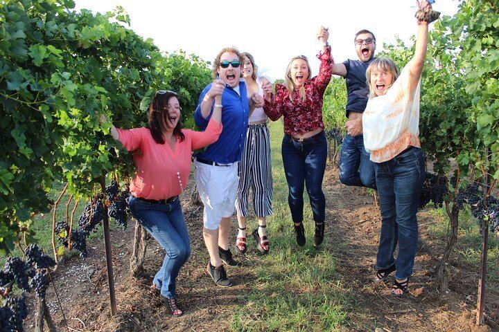 Niagara Wine and Charcuterie Tour from Falls Meeting Points: 3 Wineries, 12+ Tastings (7/12)