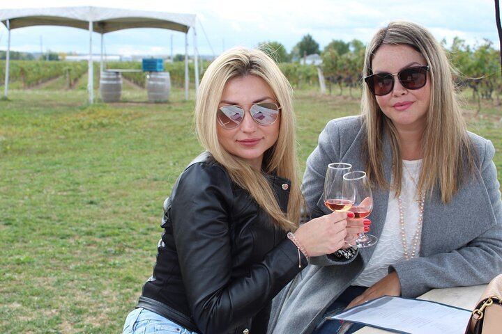 Niagara Wine and Charcuterie Tour from Falls Meeting Points: 3 Wineries, 12+ Tastings (5/12)