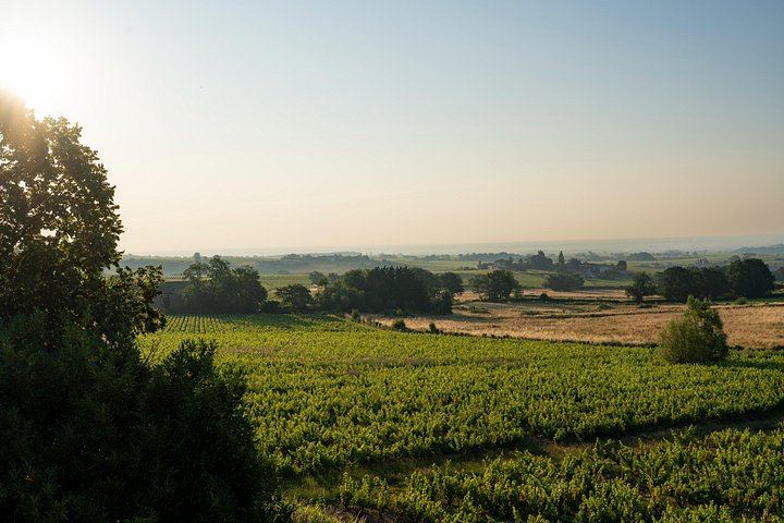 Private Southern Burgundy Wine Day in a Vintage Land Rover from Lyon (9/12)