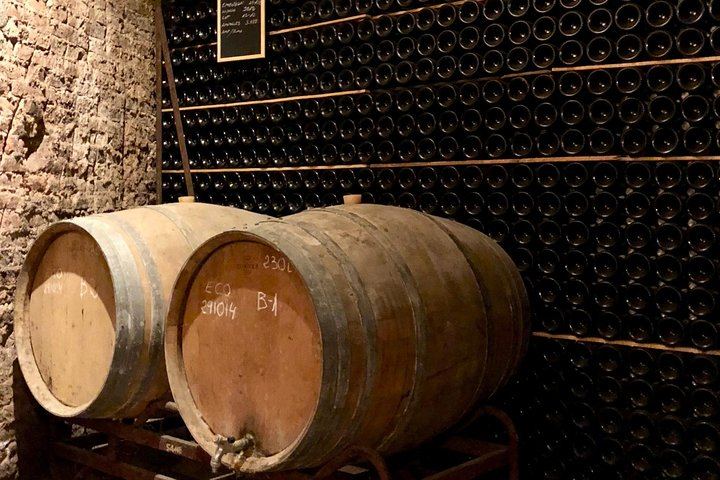 Sant Sadurní Cava and Chocolate Day Trip by Train from Barcelona with 4-Course Lunch (10/12)