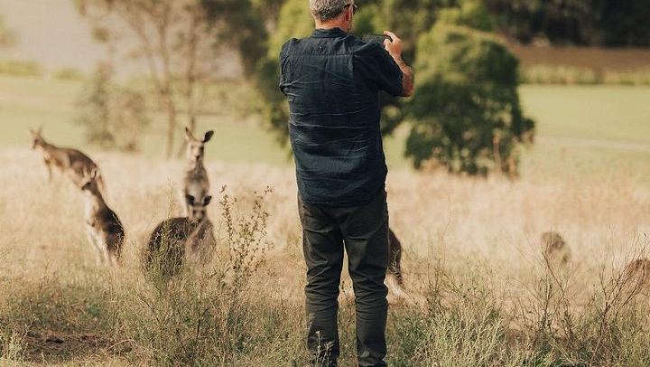 Yarra Valley Afternoon Tour: Chandon Sparkling, Cheese and Sunset Kangaroos, 12 Guests Max (2/12)