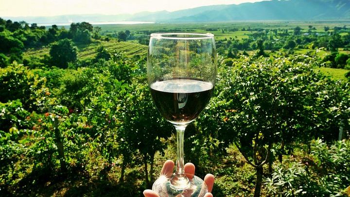 Small-Group Venice Day Trip: Soave, Villa Serego Alighieri Amarone Tasting, Verona Time (2/12)