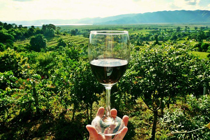 Small-Group Venice Day Trip: Soave, Villa Serego Alighieri Amarone Tasting, Verona Time (2/12)