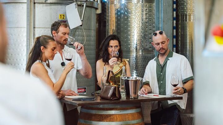 Hunter Valley Wine Tasting Tour from Sydney: Iron Gate, Sobel's, Gin and Olive Centre (3/12)