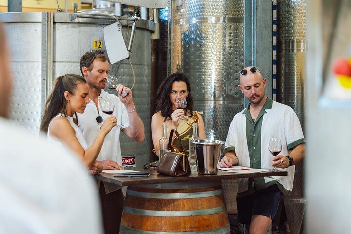Hunter Valley Wine Tasting Tour from Sydney: Iron Gate, Sobel's, Gin and Olive Centre (3/12)