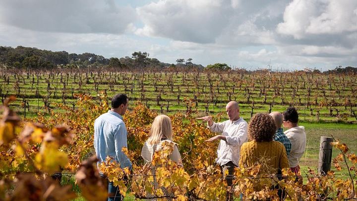 Margaret River Full-Day Hidden Gems Tour: Family Producers, Olive Farm Lunch, Emu Feeding (2/12)