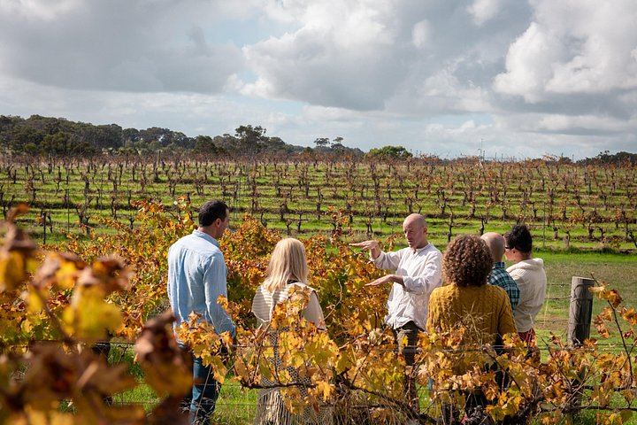 Fully Tailored Private Bespoke Margaret River Tour with Guided Walks, Tastings and Lunch (5/12)