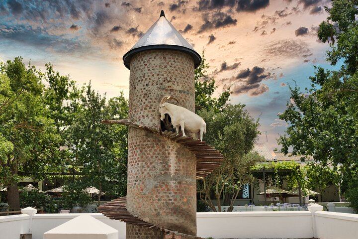 Private Full-Day Cape Winelands Tour: Fairview, La Petite Ferme Lunch, La Motte and Tokara (5/6)