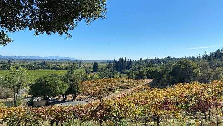 Sonoma County Group Wine Tasting Tour: Three Small Wineries and Charcuterie Box (3/8)