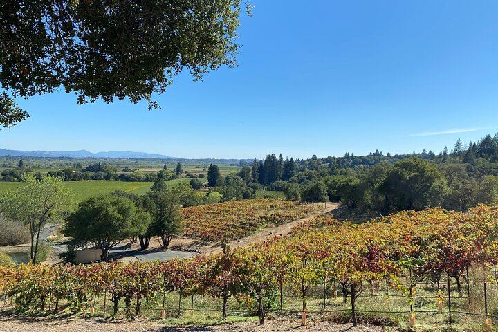 Sonoma County Group Wine Tasting Tour: Three Small Wineries and Charcuterie Box (3/8)