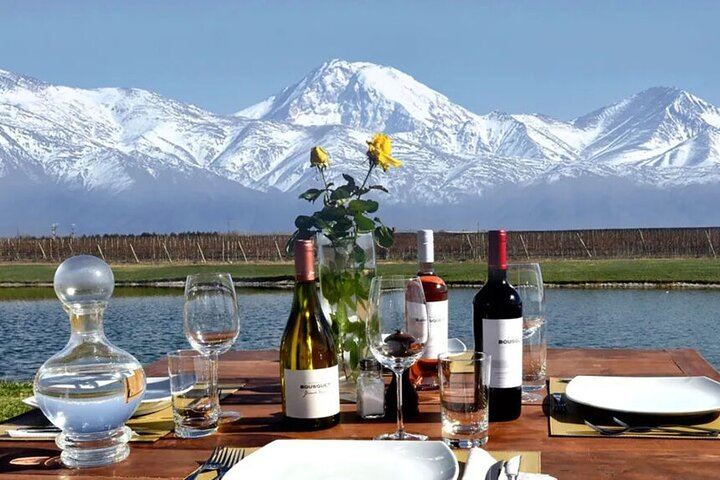 Private Luxury Uco Valley Day: Clos de los Siete, Piedra Negra and La Morada Lunch (12/12)