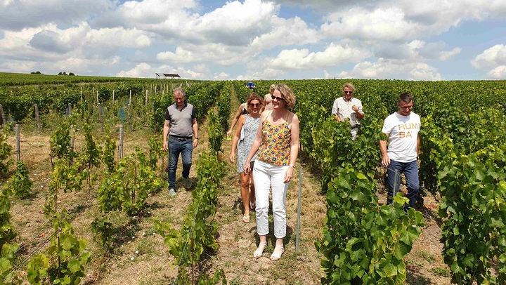 Two-Hour Guided Vineyard Walk in Cumières with 3 Champagnes and Local Food Pairings (3/5)