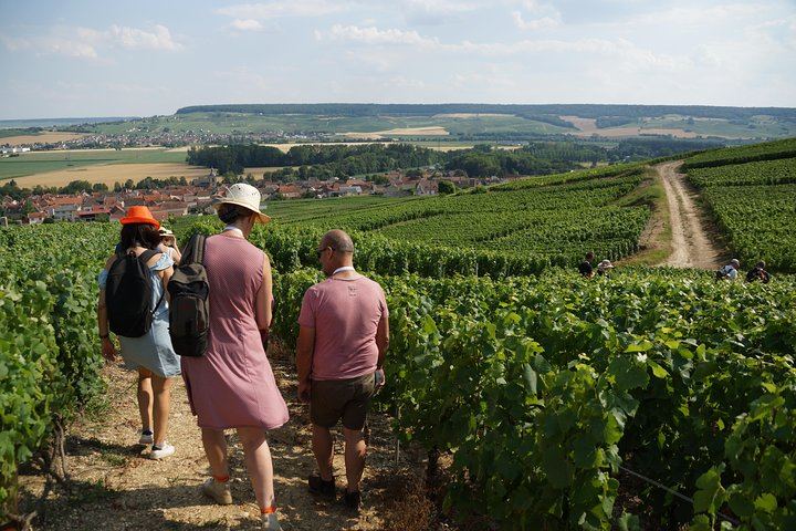 Two-Hour Guided Vineyard Walk in Cumières with 3 Champagnes and Local Food Pairings (1/5)