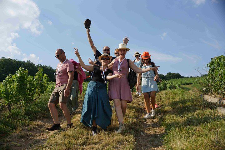 Two-Hour Guided Vineyard Walk in Cumières with 3 Champagnes and Local Food Pairings (4/5)