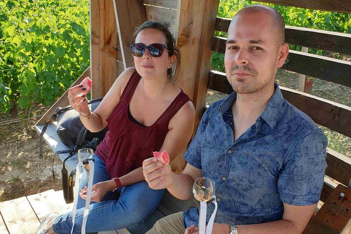 Two-Hour Guided Vineyard Walk in Cumières with 3 Champagnes and Local Food Pairings (2/5)