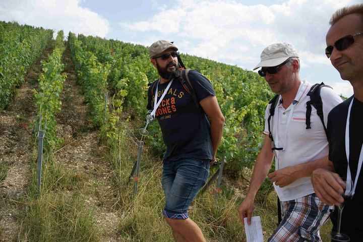 Two-Hour Guided Vineyard Walk in Cumières with 3 Champagnes and Local Food Pairings (5/5)