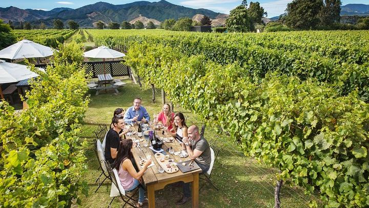 Full-Day Marlborough Winemakers Tour: 4-6 Family-Owned Cellar Doors, Local Guide (3/9)